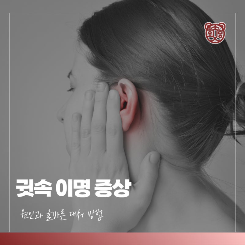 귓속 이명 증상 원인과 올바른 대처 방법