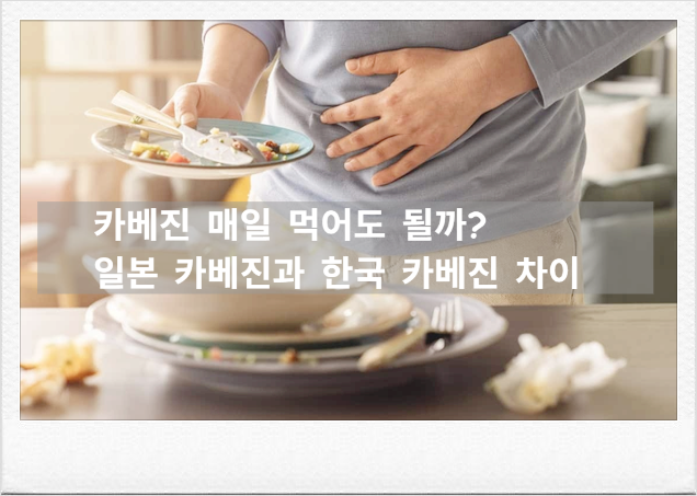 카베진 효능 정리, 속쓰림. 소화불량에 효과 있을까? 복용법부터 부작용까지
