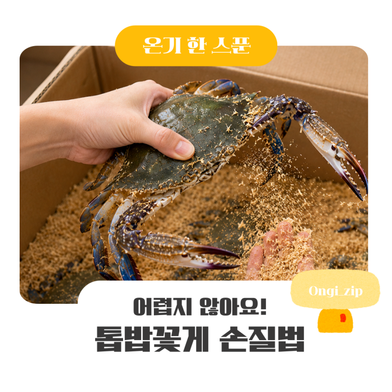 톱밥꽃게 손질법 어렵지 않아요! 세척부터 손질까지 한 번에