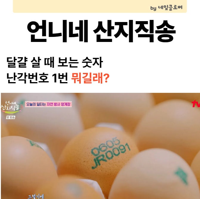 언니네 산지직송 난각번호 1번 달걀, 4번보다 좋은 계란일까?