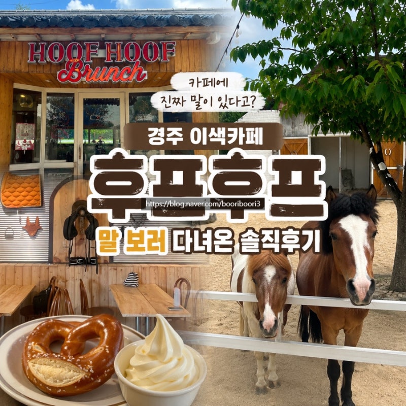 경주 이색카페 후프후프｜진짜 말이 있는 브런치카페 직접 가봄