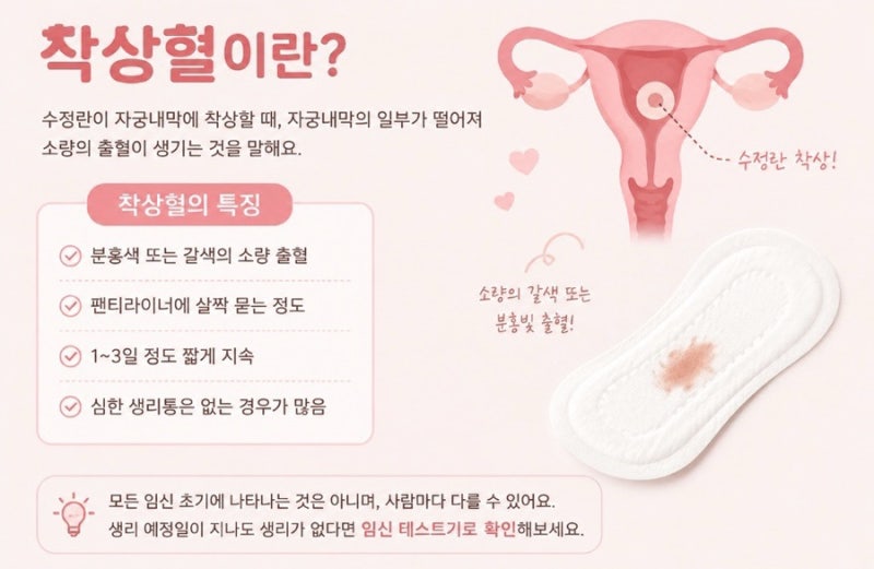 [임신중] 임신극초기 착상혈 시기와 생리,착상혈 구분 그리고 임신초기 부정출혈 갈색혈 피....