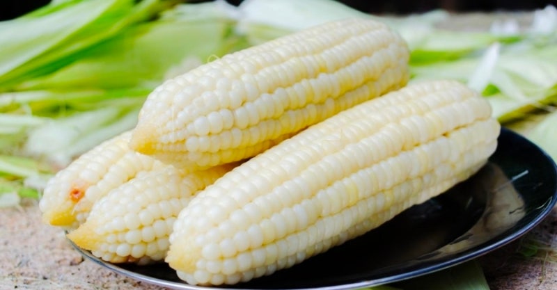 옥수수효능 | 옥수수1개 칼로리부터 다양하게 먹는 방법 | 맛있게 삶는법|냉장?냉동?보관법까....