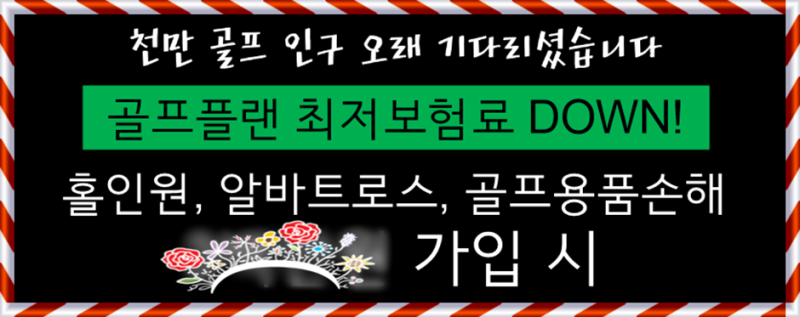 [골프보험]홀인원보험 알바트로스보험 골프용품손해보험 골프활동중 배상책임보험 포함 등 ....