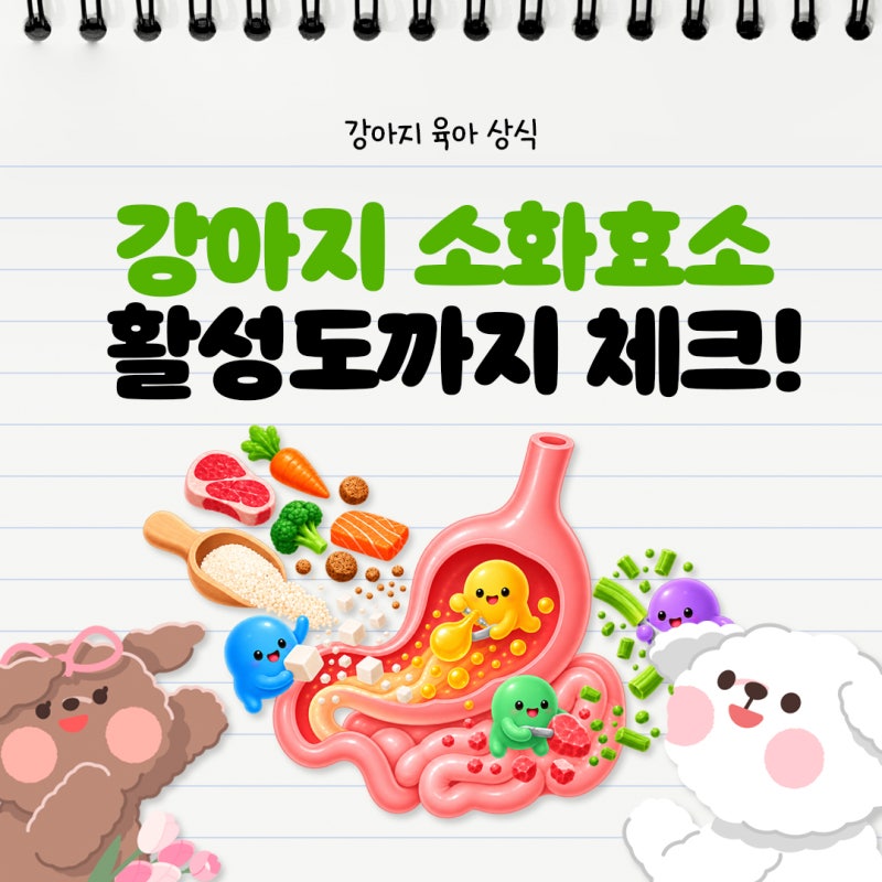 강아지 소화효소, 판크레아틴만 확인하시나요?