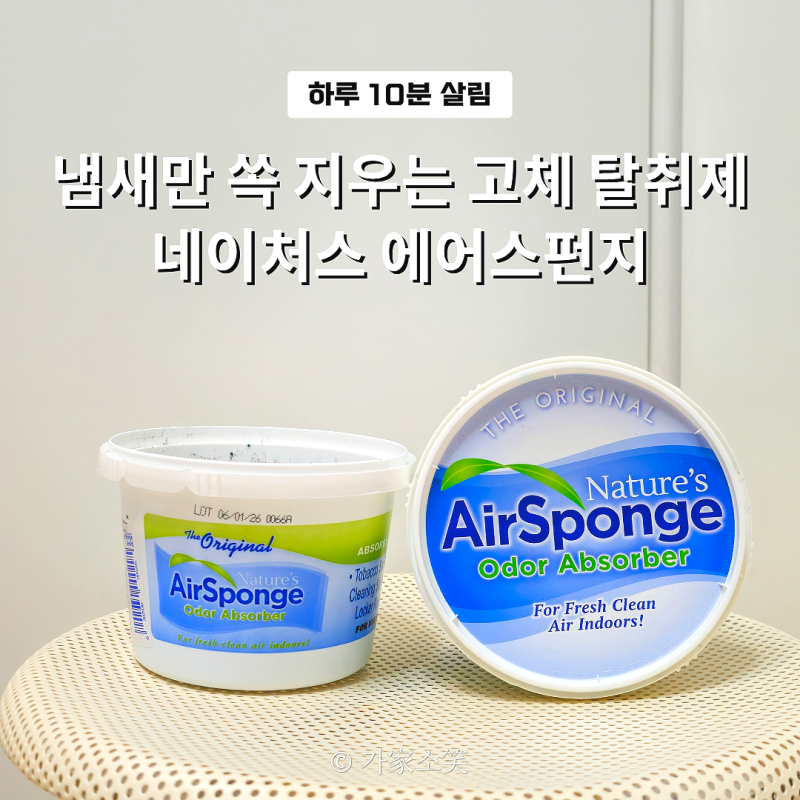 고체 탈취제 집안 어디든 툭! 냄새만 쏙 지우는 네이처스에어스펀지 선택 기준