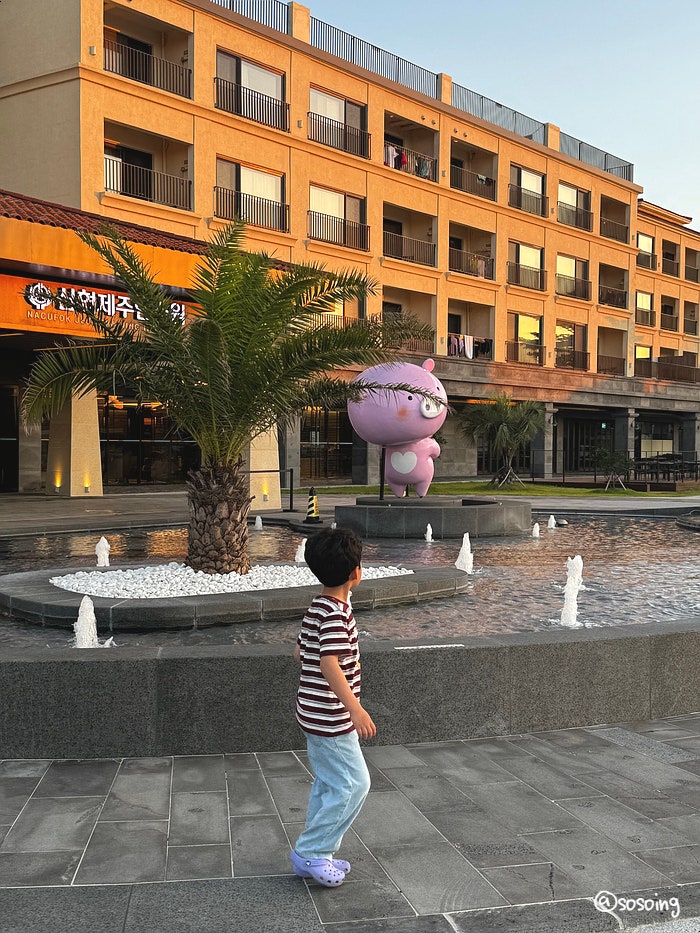 제주 가성비 숙소 추천 성수기 10만원대 야외 수영장 있는 신협 제주연수원