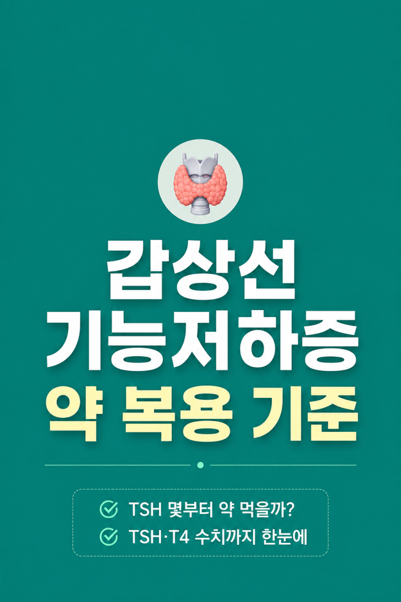 『갑상선기능저하증 약』 증상·원인·치료·TSH·FREE T4 검사수치