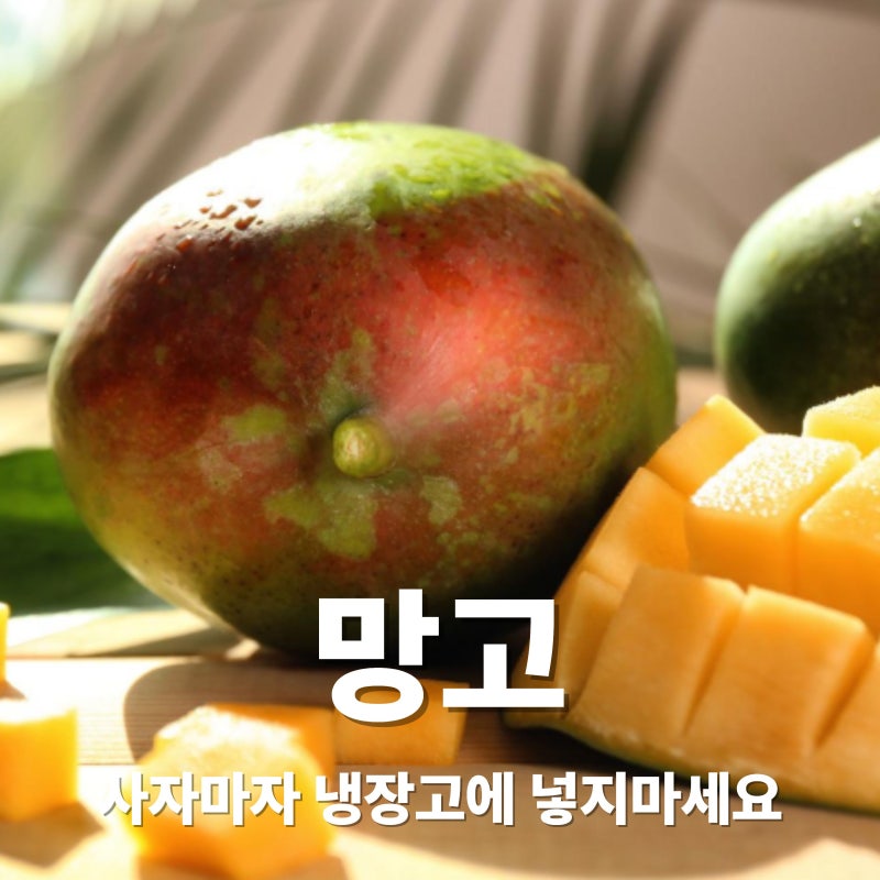 망고 효능과 부작용, 후숙하는 법과 보관방법