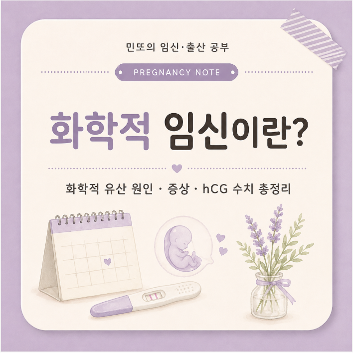 화학적 임신이란?｜화학적 유산 원인·증상·hCG 수치 총정리