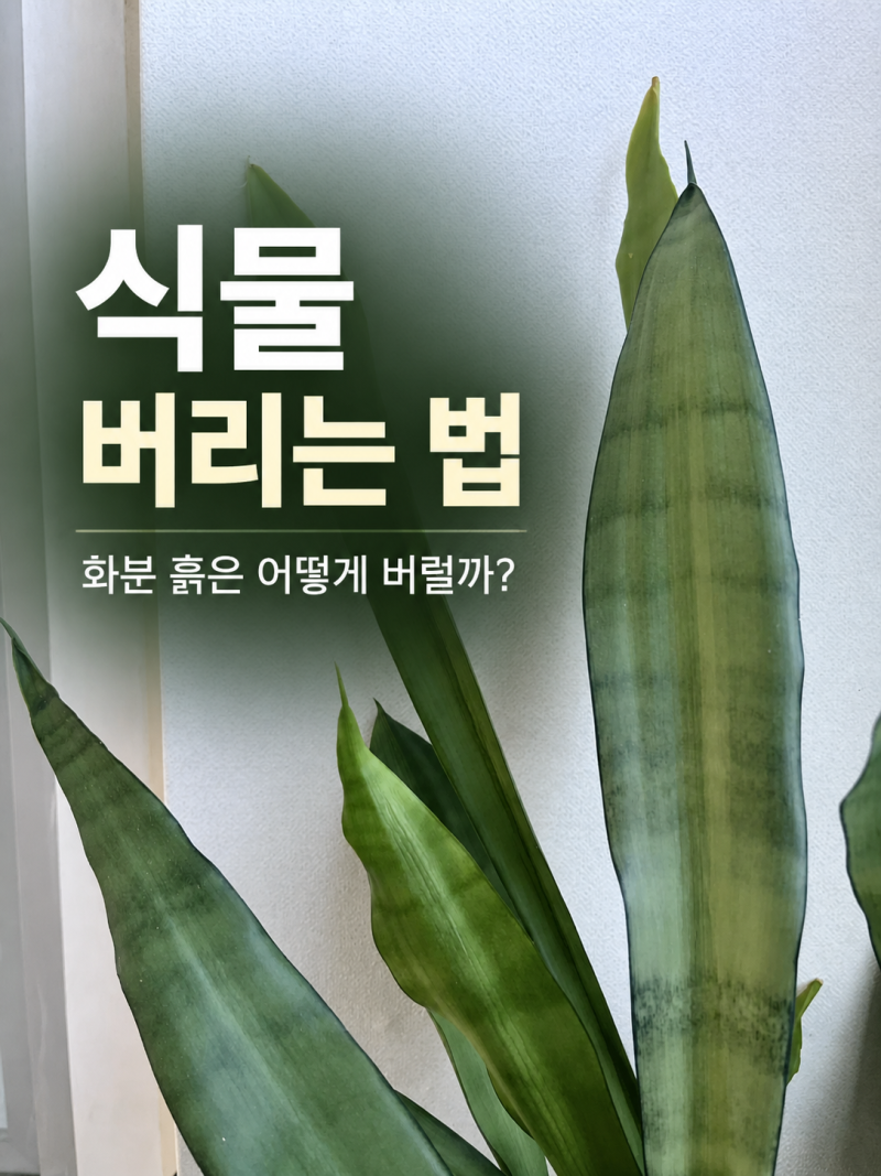 식물 버리는 법｜화분 흙과 죽은 식물, 야산에 버려도 될까?