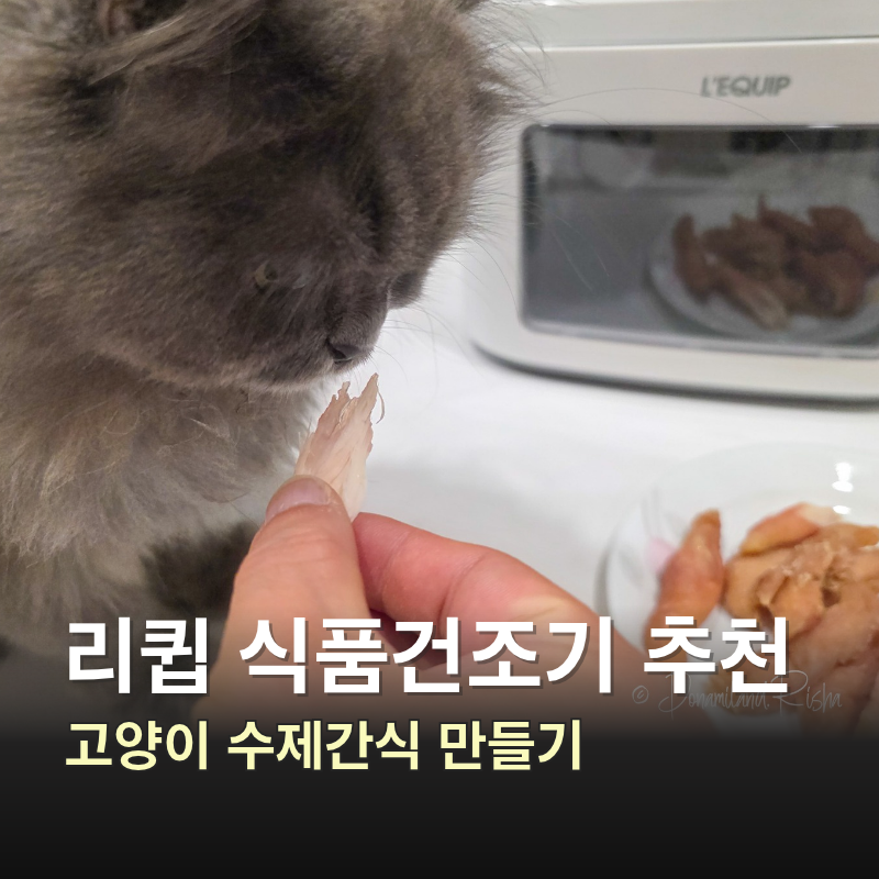 리큅 식품건조기 추천, 집에서 고양이 수제간식 만들기