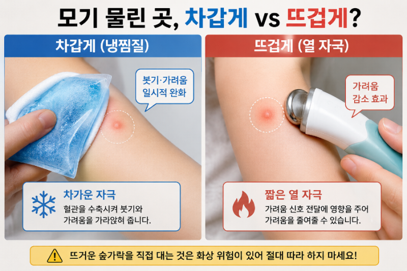모기 물린 곳 뜨겁게 하면 정말 안 가려울까?