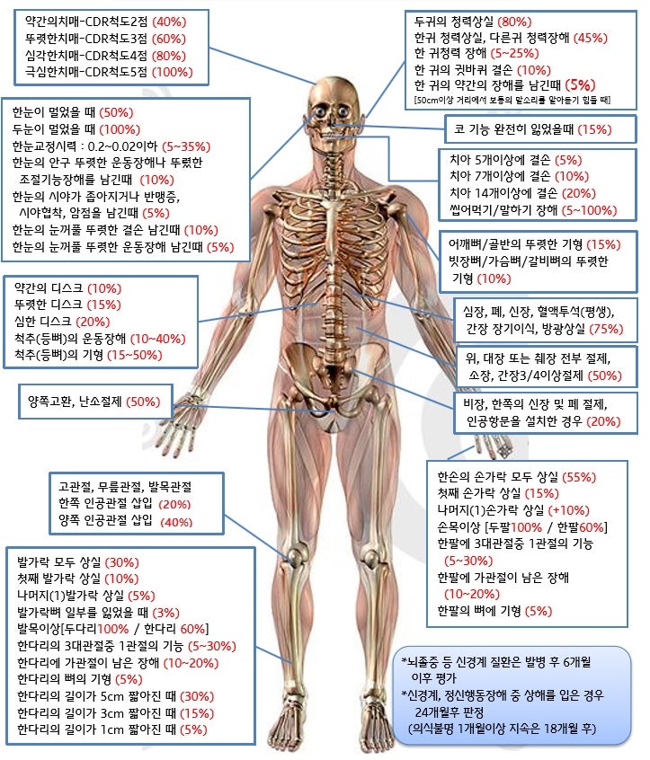 질병후유장해 담보의 현실