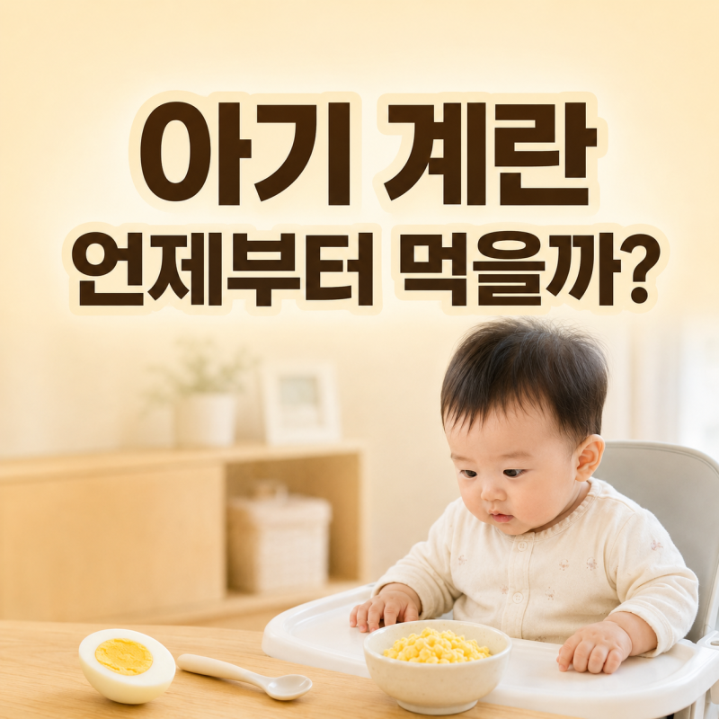 아기 계란 먹는 시기 언제부터? 먹어도 되는 양과 알레르기 확인방법