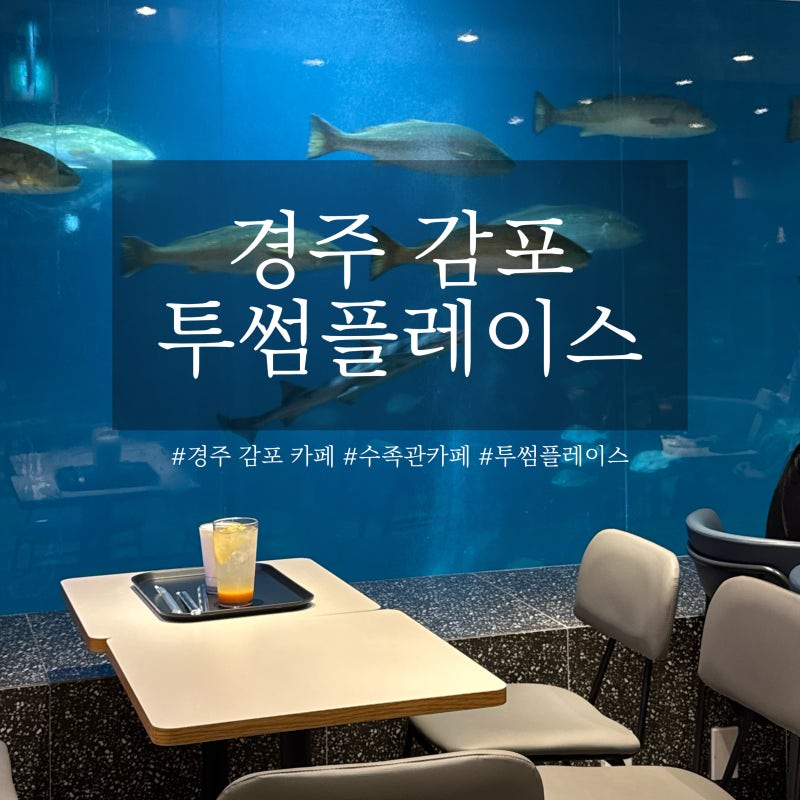 경주 감포 카페 추천｜투썸플레이스 수족관카페 아이랑 가볼만한곳 오션뷰 이색카페 내돈내....