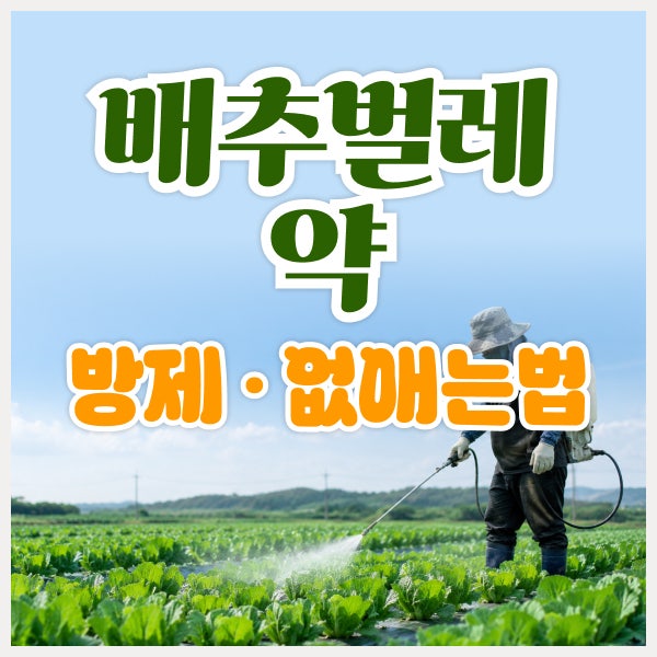 배추벌레 약 방제 없애는법 해충별 방제 방법과 주의사항