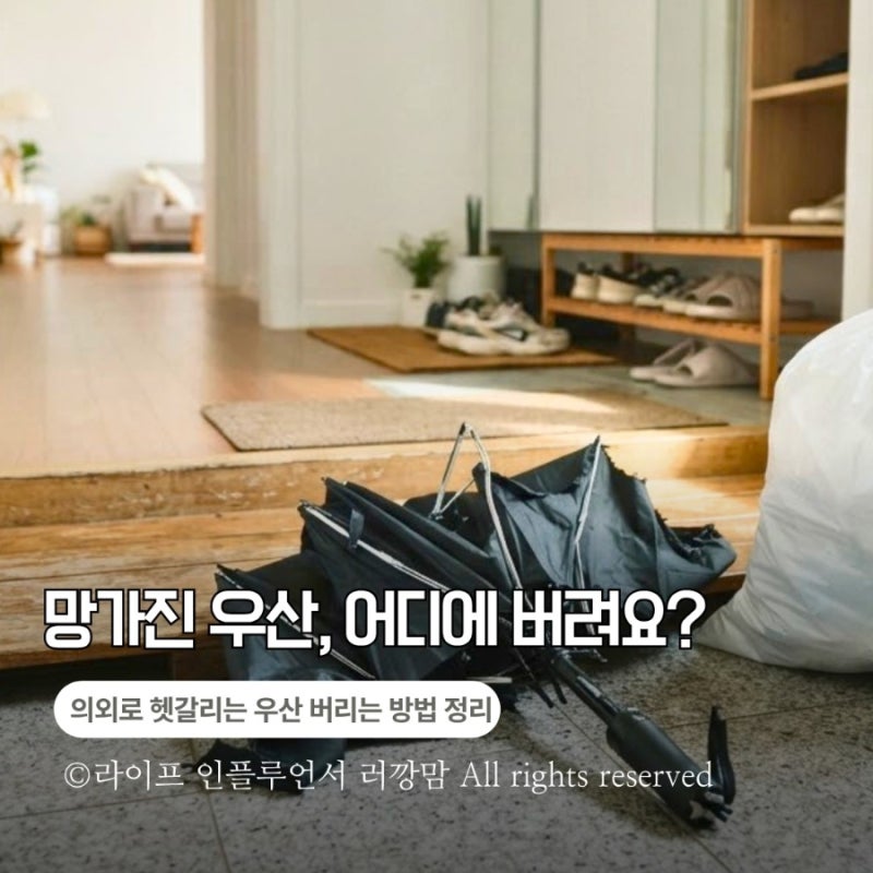 망가진 우산 버리는 법, 폐기물로 버려야 할까 종량제봉투에 넣어도 될까?