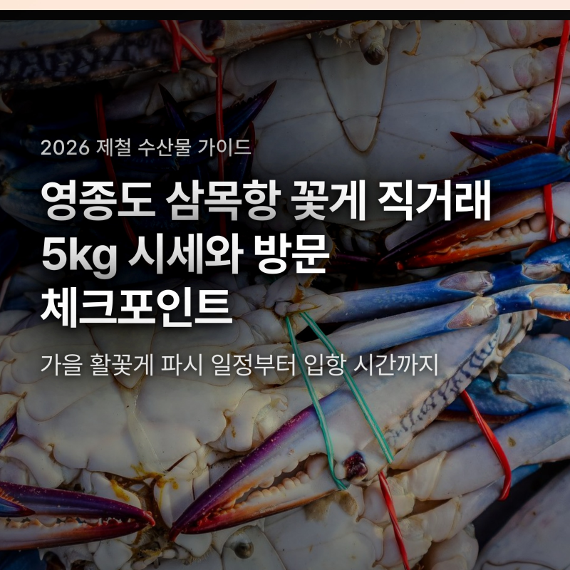 삼목항 꽃게 직거래 5kg 가격과 실패 없는 입항 시간 공략법