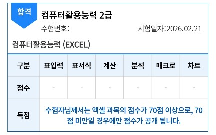[컴퓨터 활용능력 2급 - 실기] 시간도 돈도 없었던 사람의 2일 합격 후기 +) 함수 정리본 공유