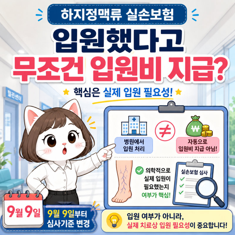 하지정맥류 실손보험 입원비 심사 강화│삼성화재 9월 9일부터 달라지는 기준