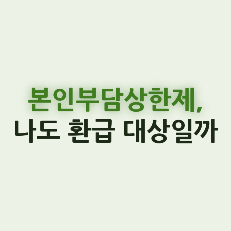 본인부담상한제 상한액과 환급금까지, 언제 얼마 받을까