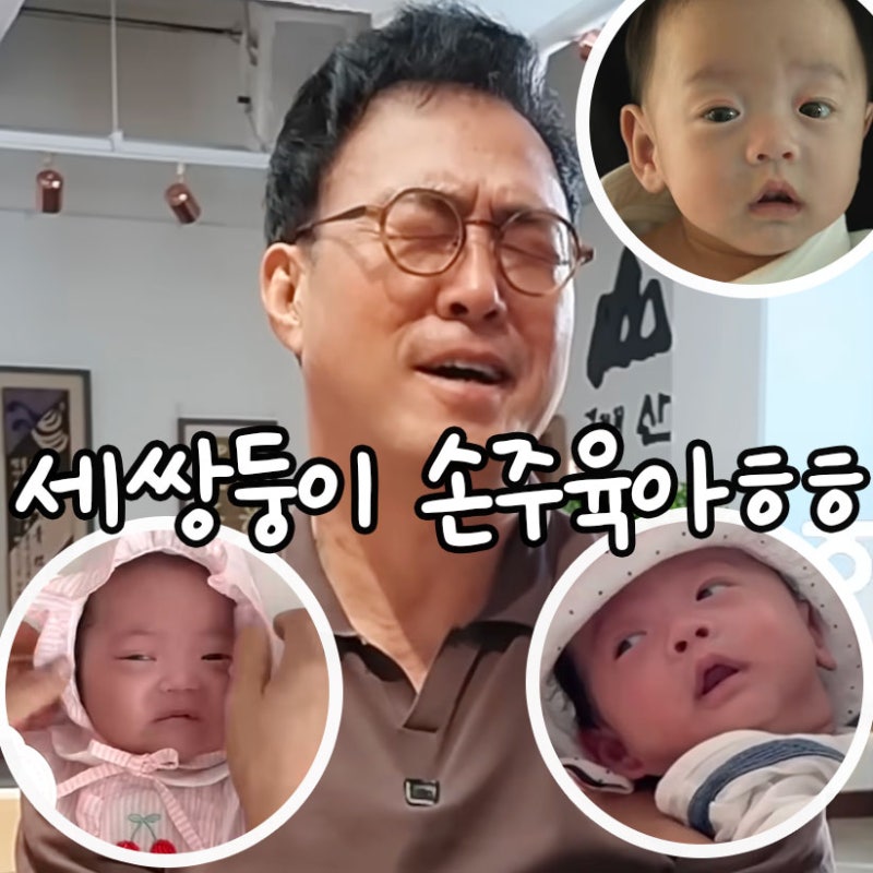 세쌍둥이 손주에게 푹 빠진 천하장사 이만기.. 가족까지 총동원된 현실 육아