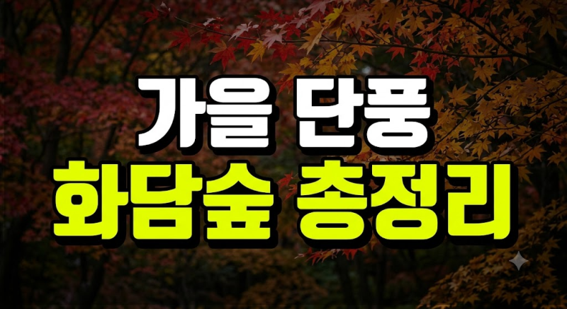 화담숲 단풍 예약 방법과 모노레일 명당 코스 곤지암 가을 여행 꿀팁 총정리