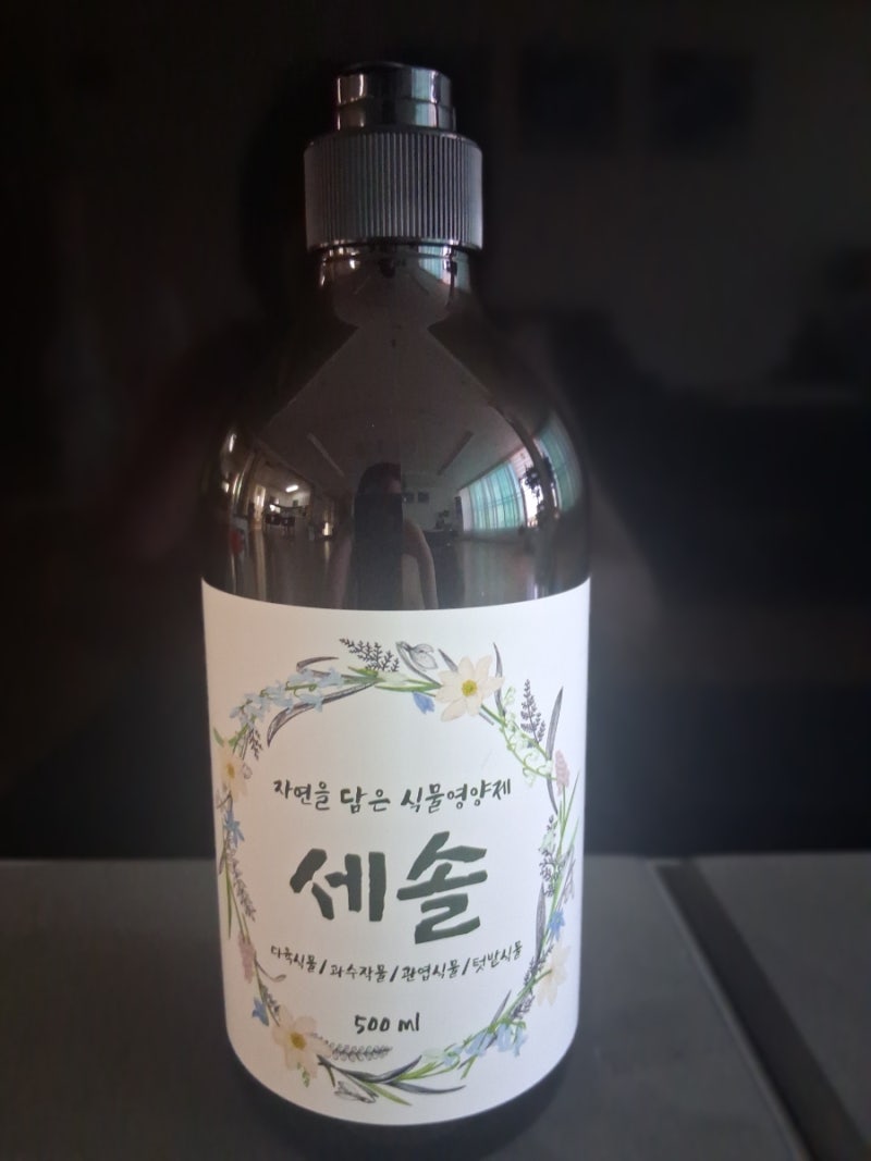 식물영양제 추천! 세솔 500ml로 베란다 정원 홈가드닝 케어해요