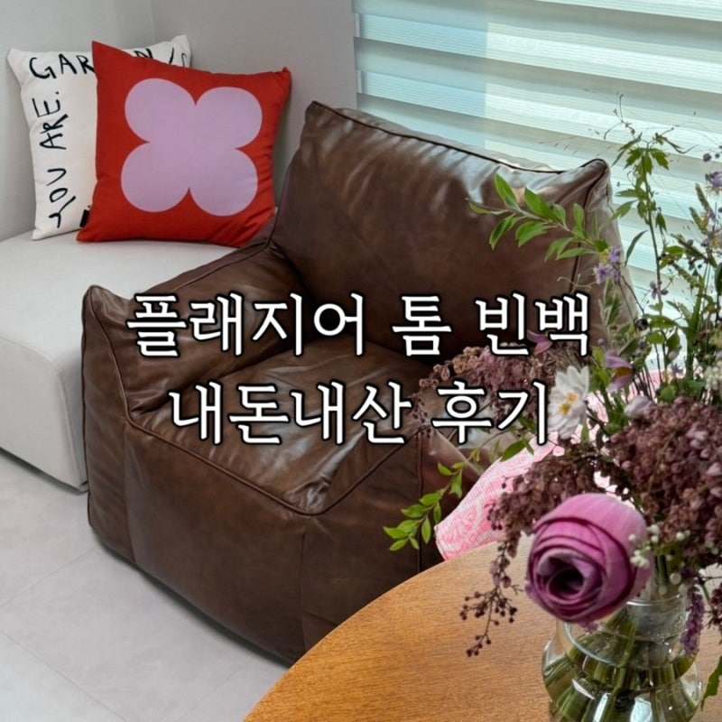플래지어 톰 1인용 빈백 소파 브라운 내돈내산 후기｜거실에 직접 놓아보니