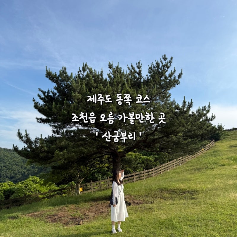 제주 산굼부리 재방문 후기 조천읍 가볼만한 곳 사진보다 예뻤던 억새 명소 추천