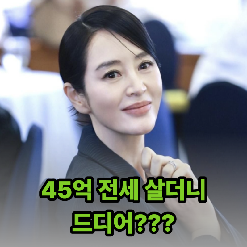 “가족들 아니었으면 진작 샀을 텐데” 김혜수, 45억 전세 살다 80억 한남리버힐 매입