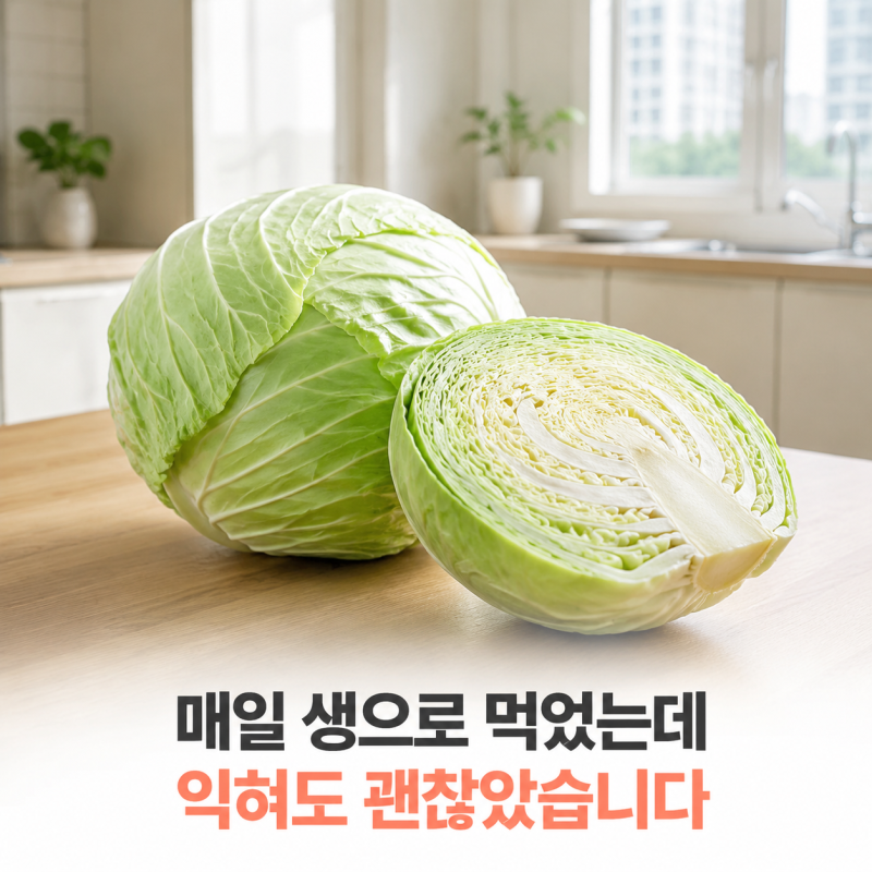 “생으로 먹어야 더 좋을까요?” 50대가 놓치기 쉬운 양배추 효능 5가지