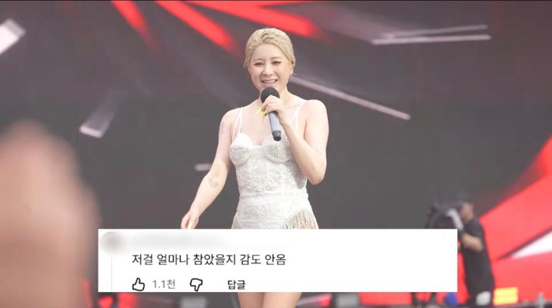 "코 성형만 5번?" 솔직 고백의 아이콘 가수 서인영 프로필·학력·리즈 시절부터 유튜브 활동 ....