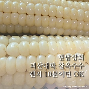 괴산대학 찰옥수수 맛집, 현남상회 찐 옥수수 냉동 배송 후기