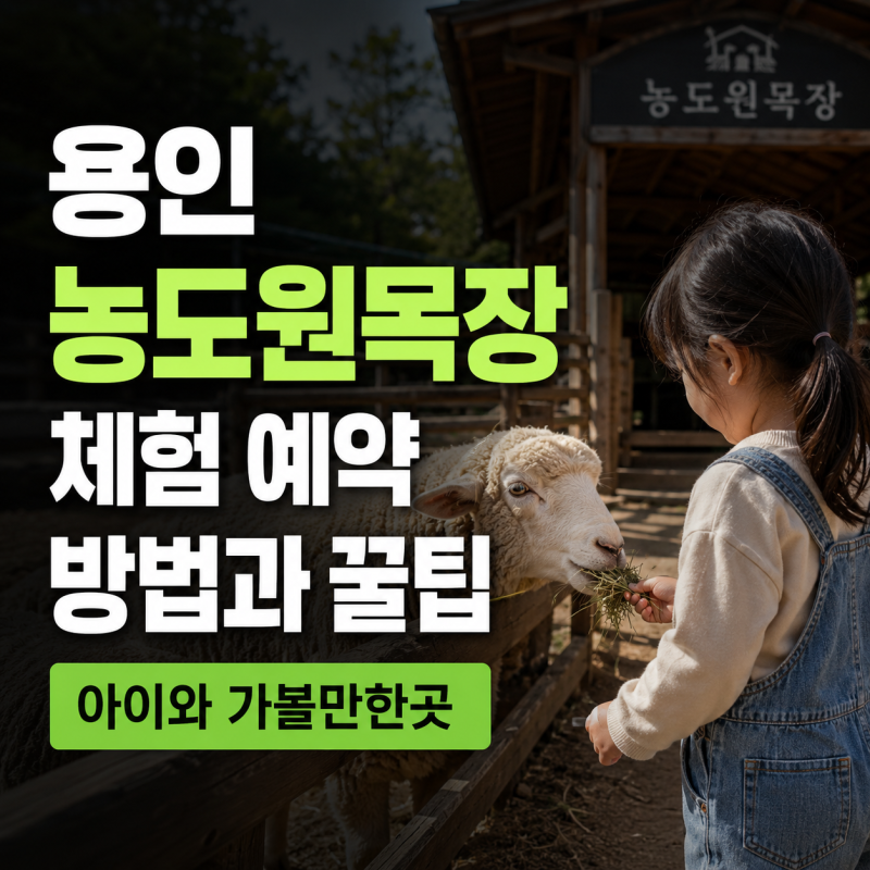 용인 농도원목장 체험 예약 방법과 꿀팁｜아이와 가볼만한곳