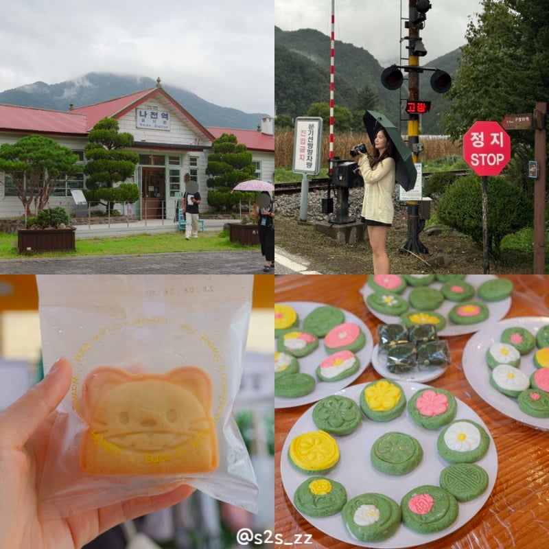 6 Must-Visit Places in Jeongseon, Gangwon-do: From Local Tourism to Najeon Station Cafe