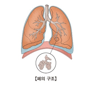 "그저 단순한 감기인 줄 알았는데…" 70대 할아버지티를 눈물 흘리게 한 침묵의 살인자, 폐렴....