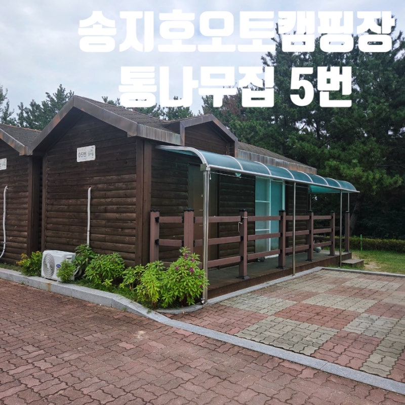 5번 후기 강원도 고성 캠핑장 추천