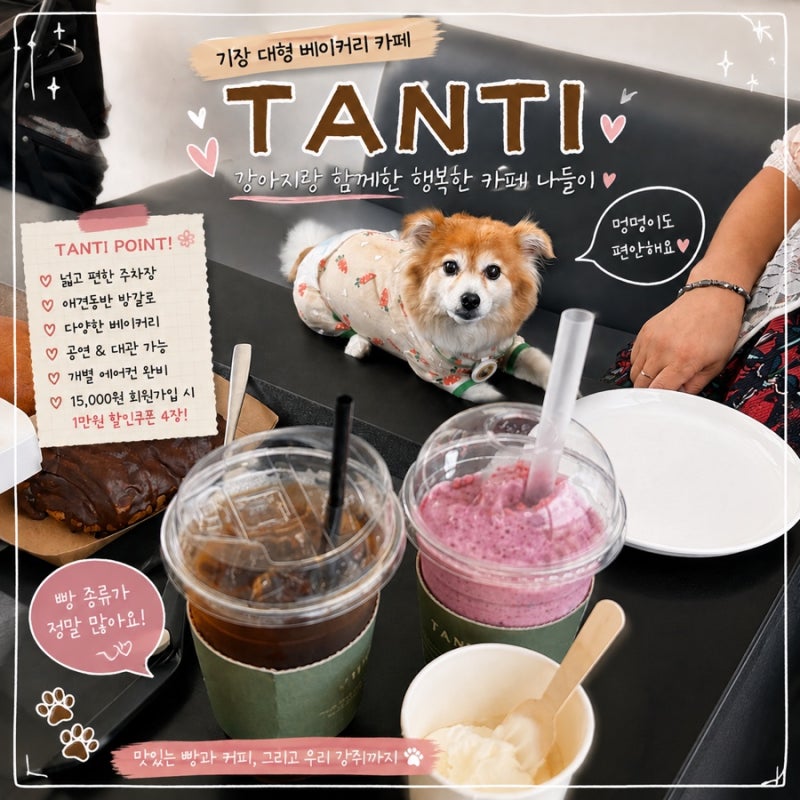 부산 기장 대형카페 탄티｜강아지랑 방갈로에서 여유롭게☕️