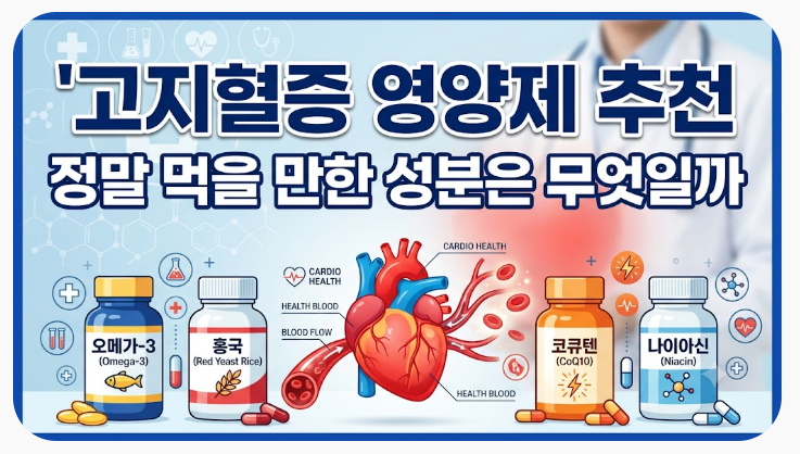 고지혈증 영양제 추천 정말 먹을 만한 성분은 무엇일까