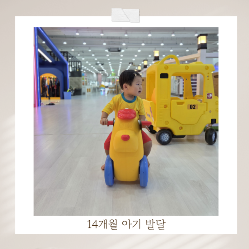 14개월 아기발달 체크리스트, 걷기 언어 인지발달 떼쓰기 시작