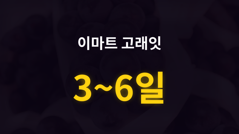 고래잇 페스타 9월 전단 총정리｜이마트몰 동일가·e머니 조건(+기간 3~6일)