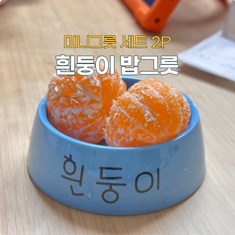 댄꼼마 짱구 흰둥이 미니그릇 세트 2P 크기 후기