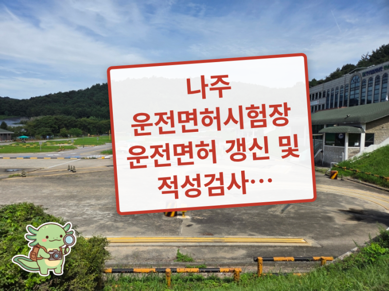 나주 운전면허시험장 운전면허 갱신 및 적성검사 완벽 가이드
