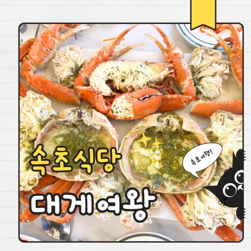 속초중앙시장 대게 맛집 대게여왕 대게 4인세트 28만원 솔직후기