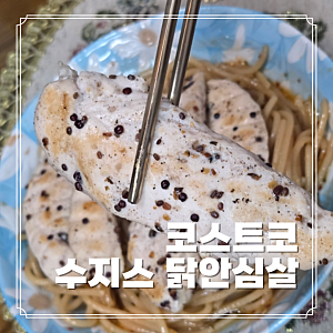 다이어트 식단용 코스트코 상품추천 수지수 멀티씨드 닭안심살