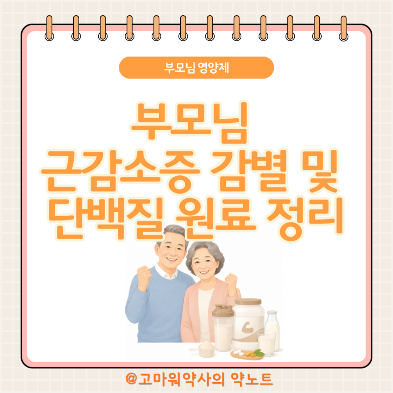 부모님 근감소증·단백질 보충제 약사가 정리, 유청·류신·HMB부터 저항 운동·비타민D까지