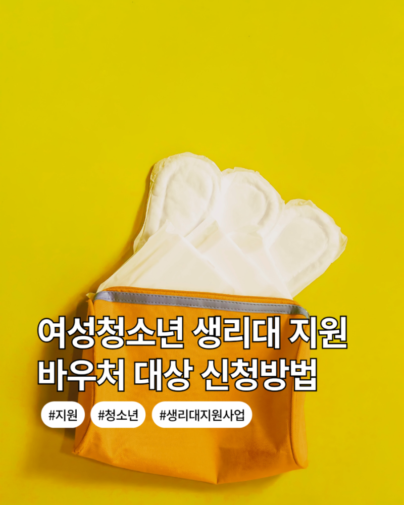여성청소년 생리대 지원금 연 16만8천원 | 생리용품 바우처 대상 신청방법