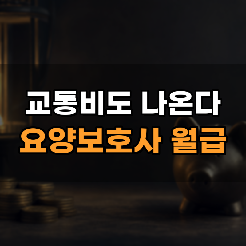 방문 요양보호사 월급 시급 기준과 교통비 지급 총정리